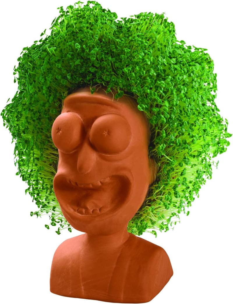 Rick & Morty Chia Pet Planter with Seed Pack - Fun Novelty Gift