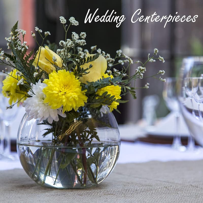 Small Round Glass Bubble Bowl - Terrarium Vase for Events