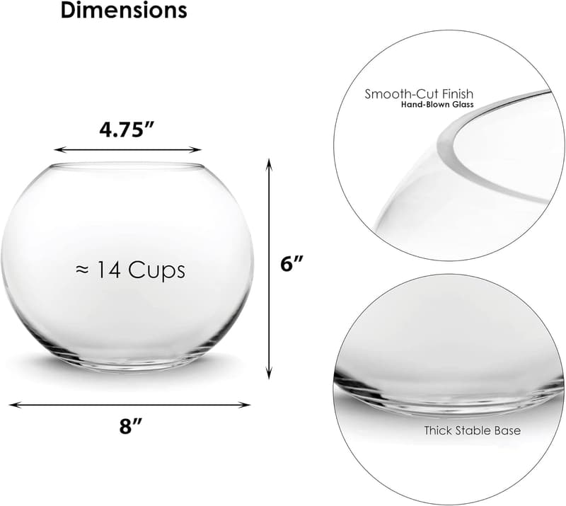 Small Round Glass Bubble Bowl - Terrarium Vase for Events