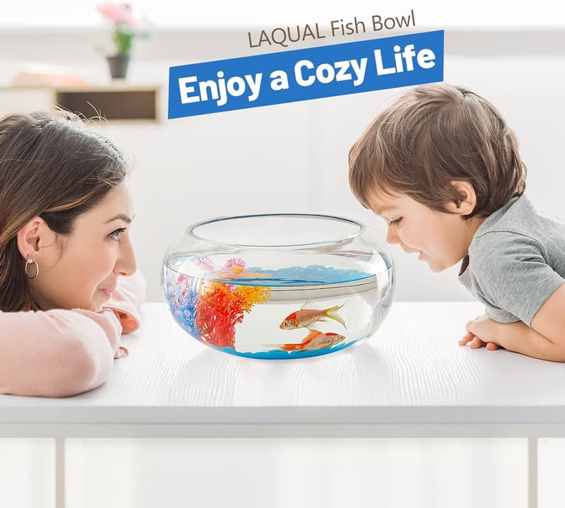 2-Gallon Glass Fish Bowl with Fluorescent Stones & Trees
