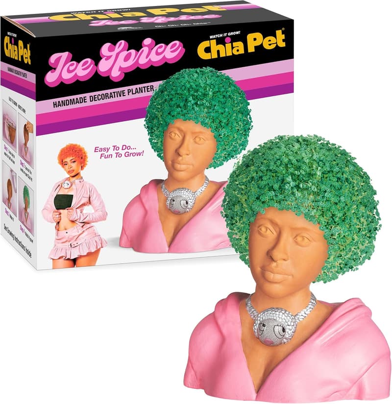 Chia Pet Ice Spice Planter Kit - Easy Indoor Plant Gift
