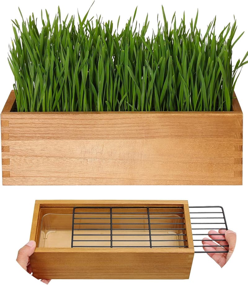 Cat Grass Kit for Indoor Cats - Wooden Planter with Removable Liner