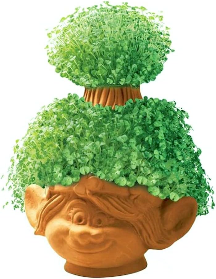 Poppy Garden Chia Pet Planter for Indoor Plants