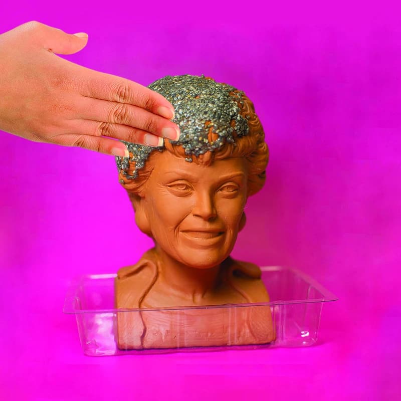 Golden Girls Chia Pet Blanche Planter with Seed Pack
