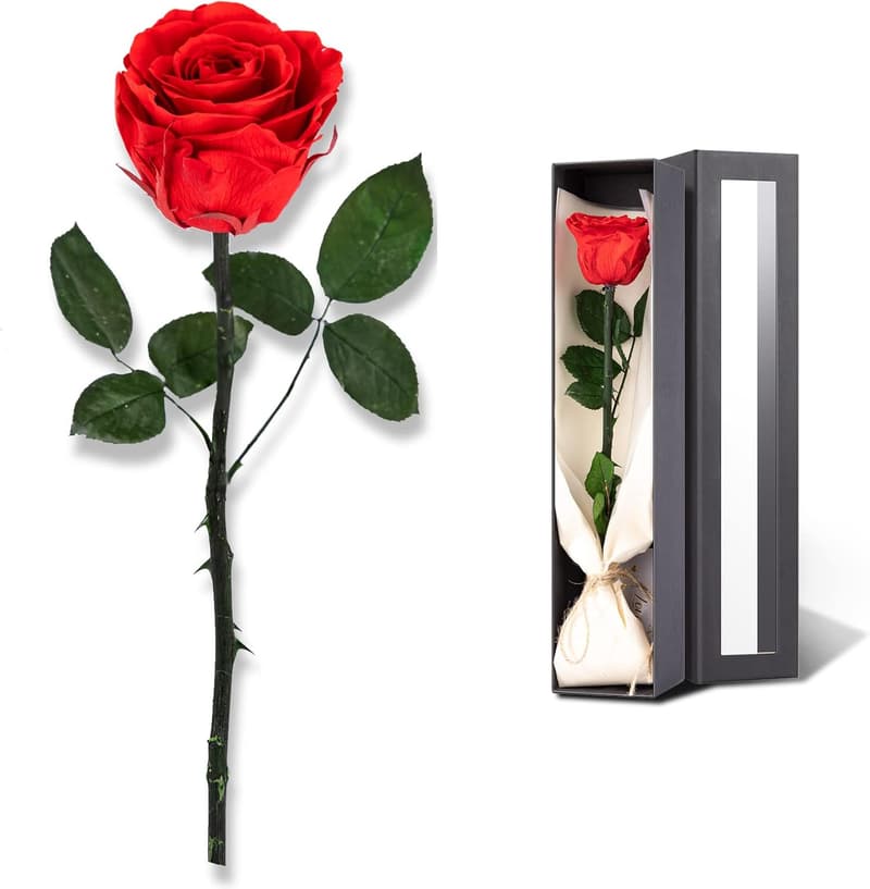 Preserved Red Roses Gift for Mother's Birthday or Valentine's Day