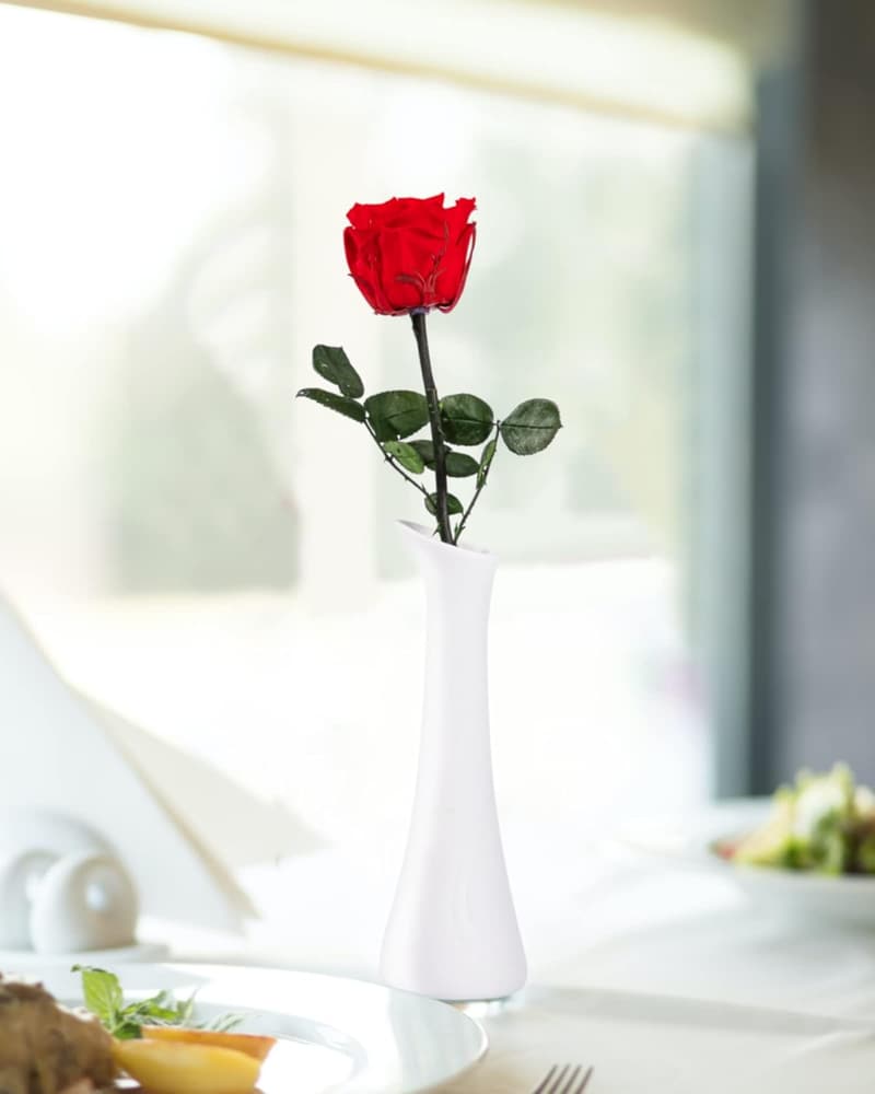 Preserved Red Roses Gift for Mother's Birthday or Valentine's Day