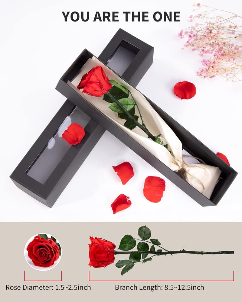Preserved Red Roses Gift for Mother's Birthday or Valentine's Day