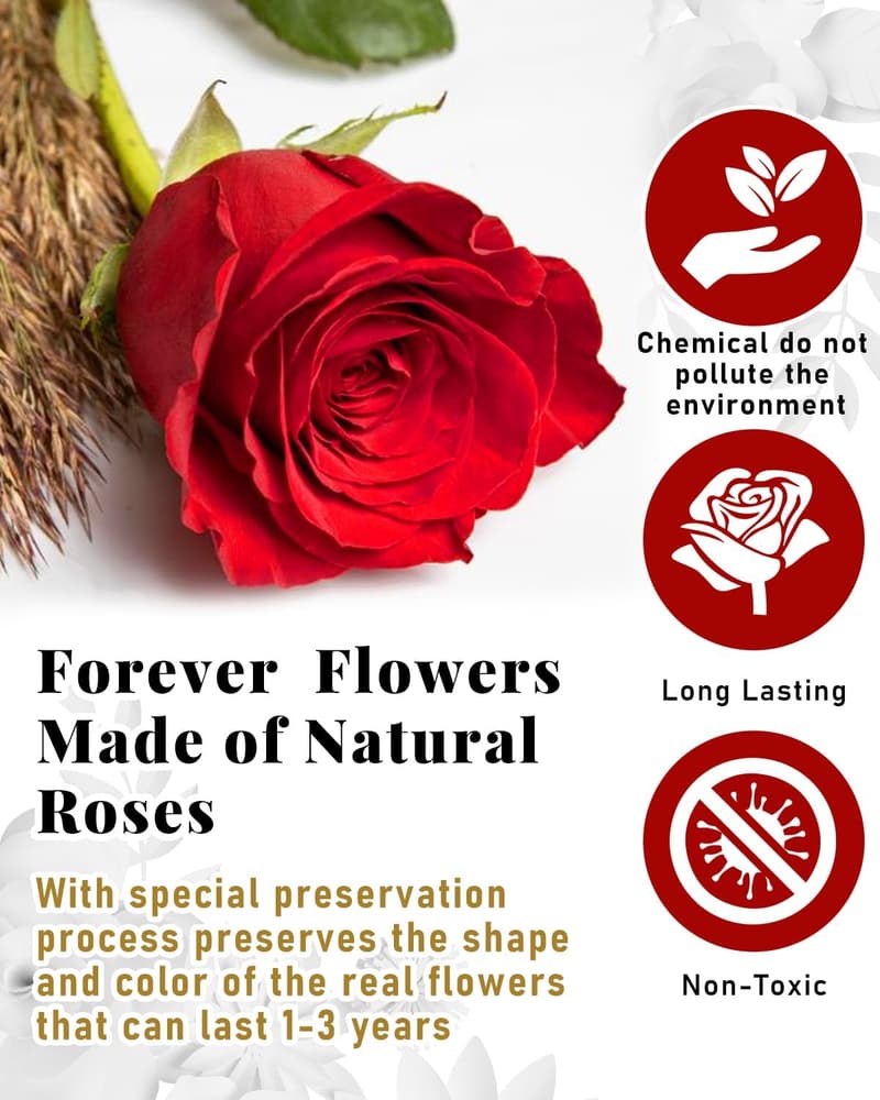 Eternal Preserved Rose Heart Box - Birthday & Mother's Day Gift