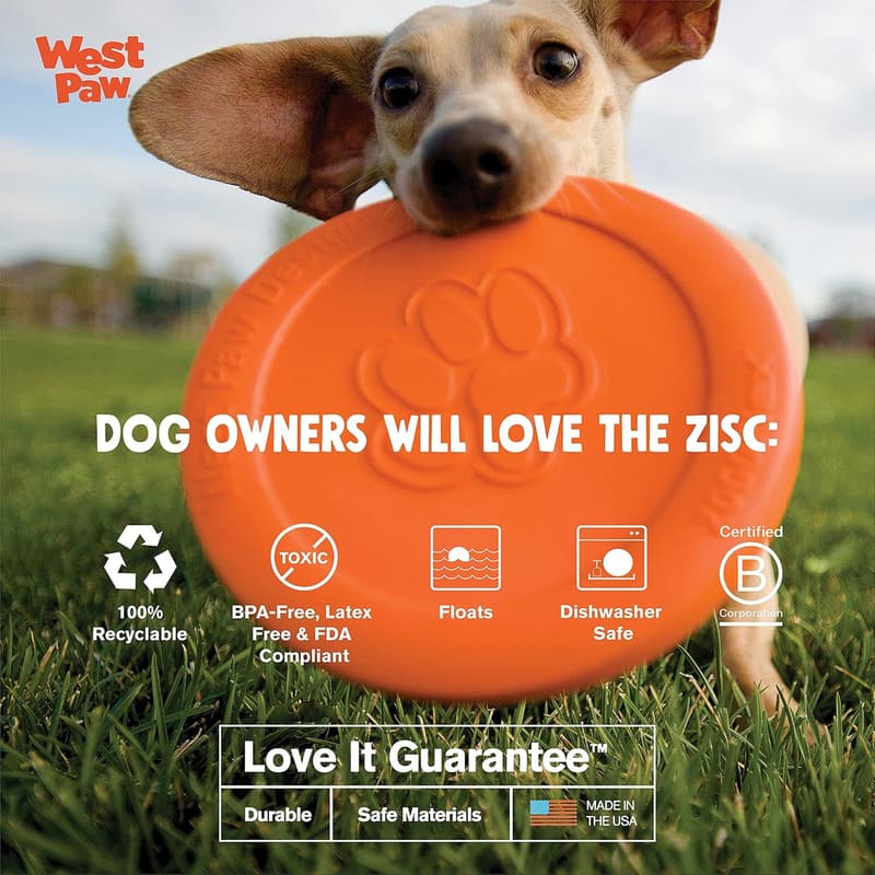 Lightweight Floating Dog Fetch Disc, 6.5