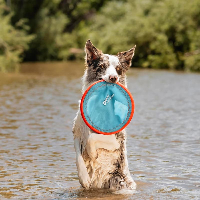 Durable Water-Floating Flying Disc Dog Toy for Medium & Large Dogs
