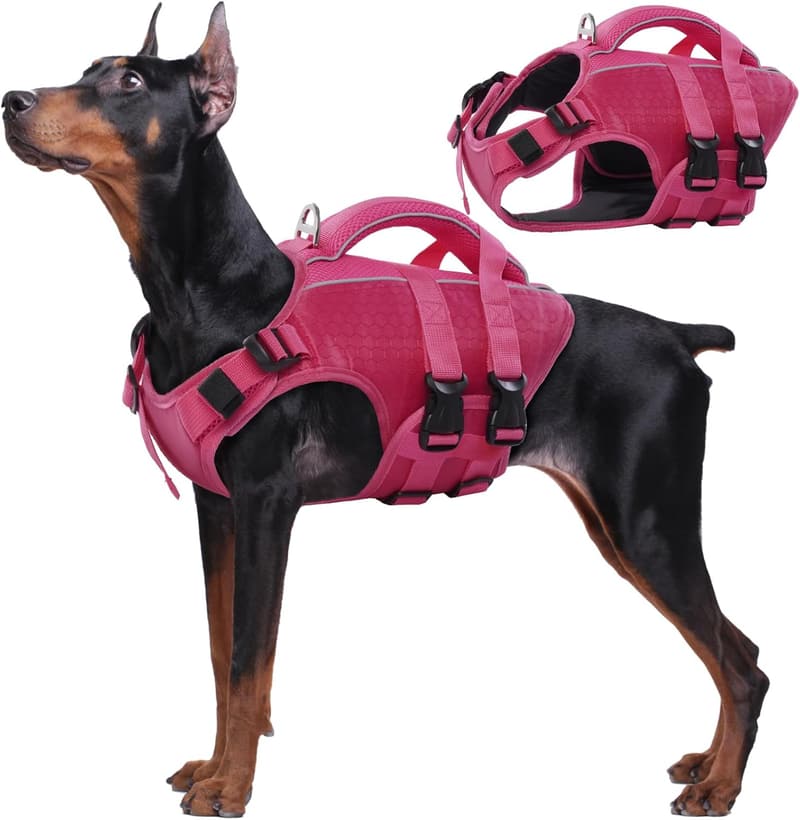 Dog Life Jacket - High Flotation, Adjustable & Reflective for All Sizes