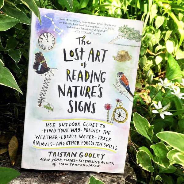 Natural Navigation: Outdoor Skills to Read Nature’s Signs