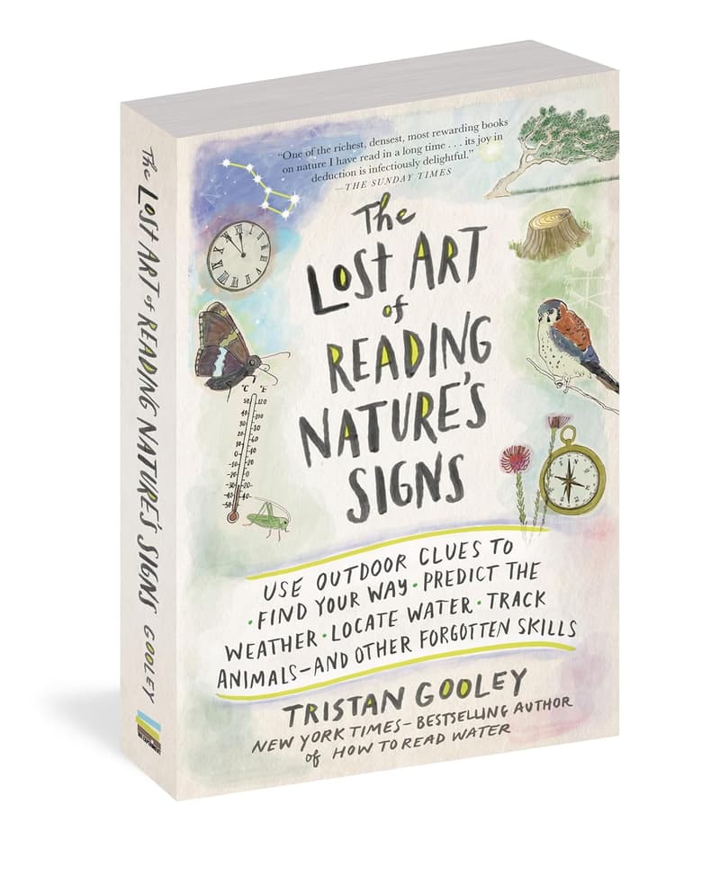 Natural Navigation: Outdoor Skills to Read Nature’s Signs