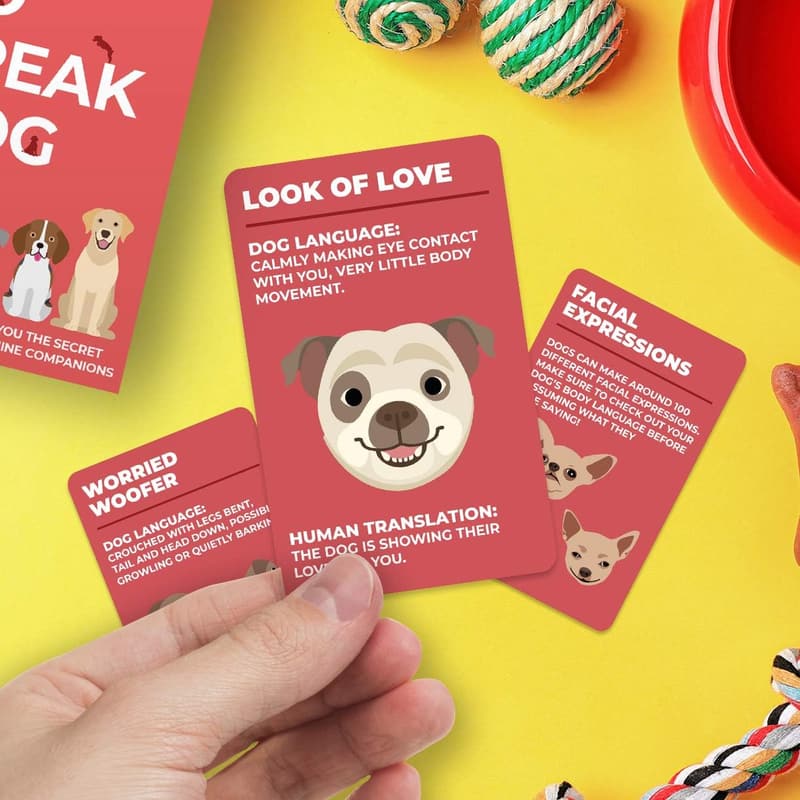 Dog Behavior Guide: 100 Fun Cards for Dog Lovers