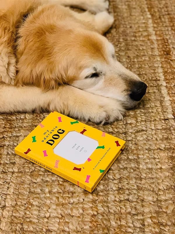 Dog Owner Keepsake Journal & Memory Book