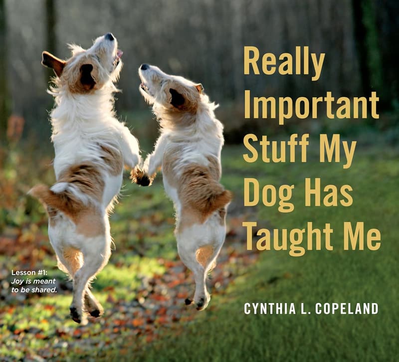 Life Lessons From My Dog: A Heartfelt Guide