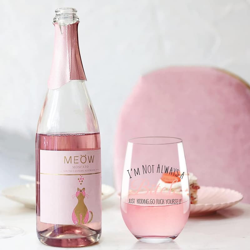 Funny Wine Glass Gift for Women - Unique Birthday & Christmas Present