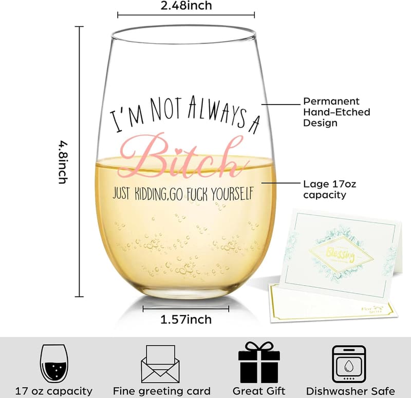 Funny Wine Glass Gift for Women - Unique Birthday & Christmas Present