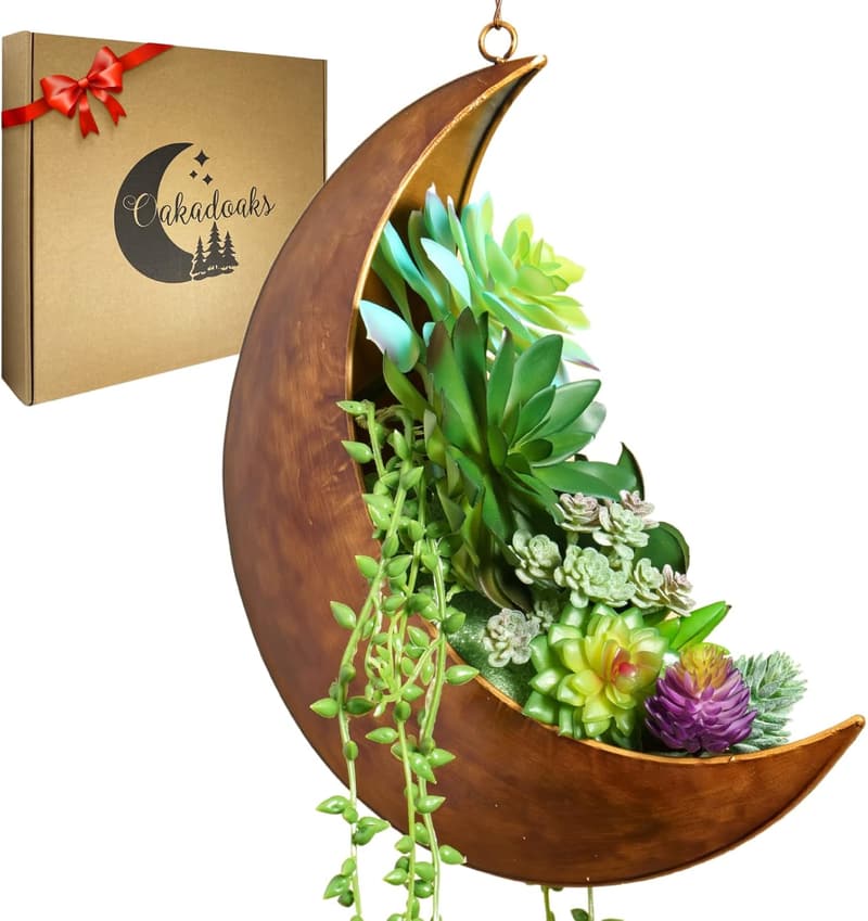 Mother's Day Hanging Moon Planter - Unique Boho Decor for Plants