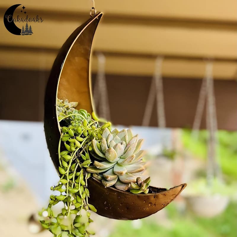 Mother's Day Hanging Moon Planter - Unique Boho Decor for Plants