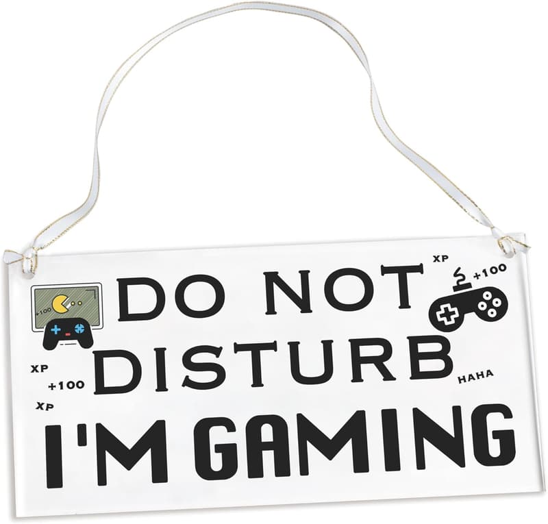 Funny Gaming Acrylic Sign for Teen Gamers - Do Not Disturb