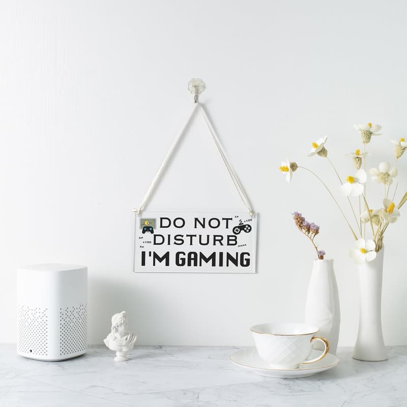 Funny Gaming Acrylic Sign for Teen Gamers - Do Not Disturb