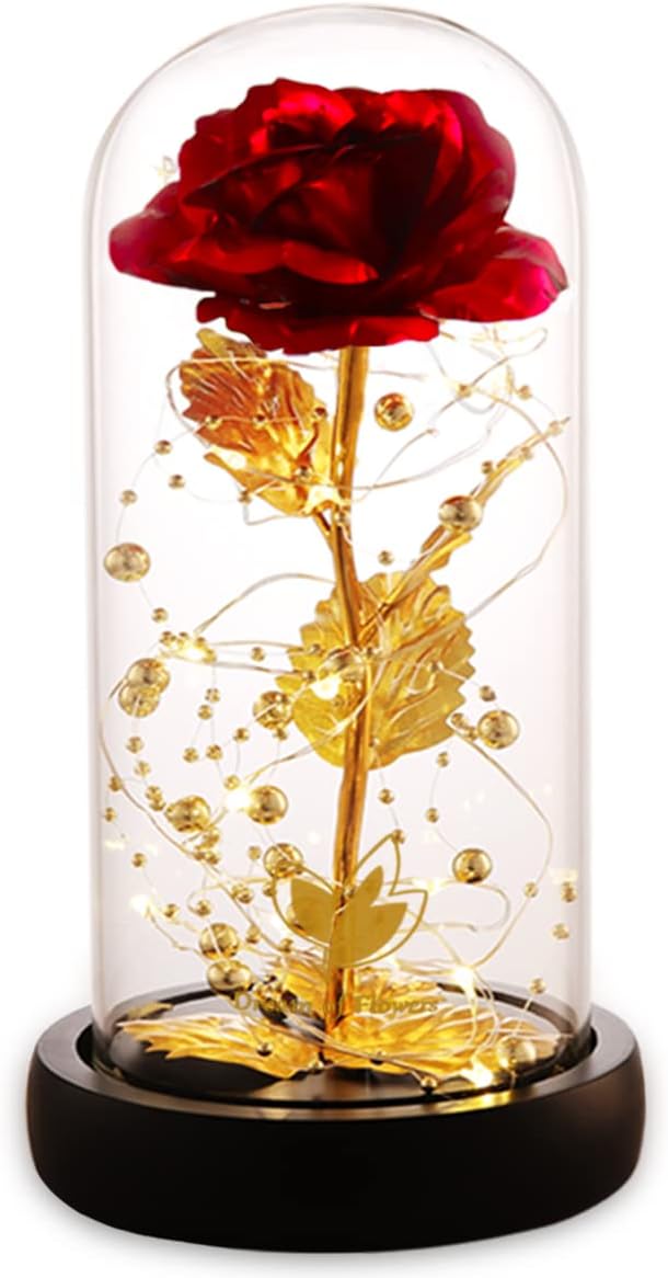 Eternal Rose in Glass Dome with LED Lights for Women
