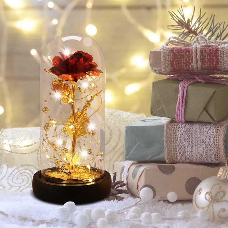 Eternal Rose in Glass Dome with LED Lights for Women