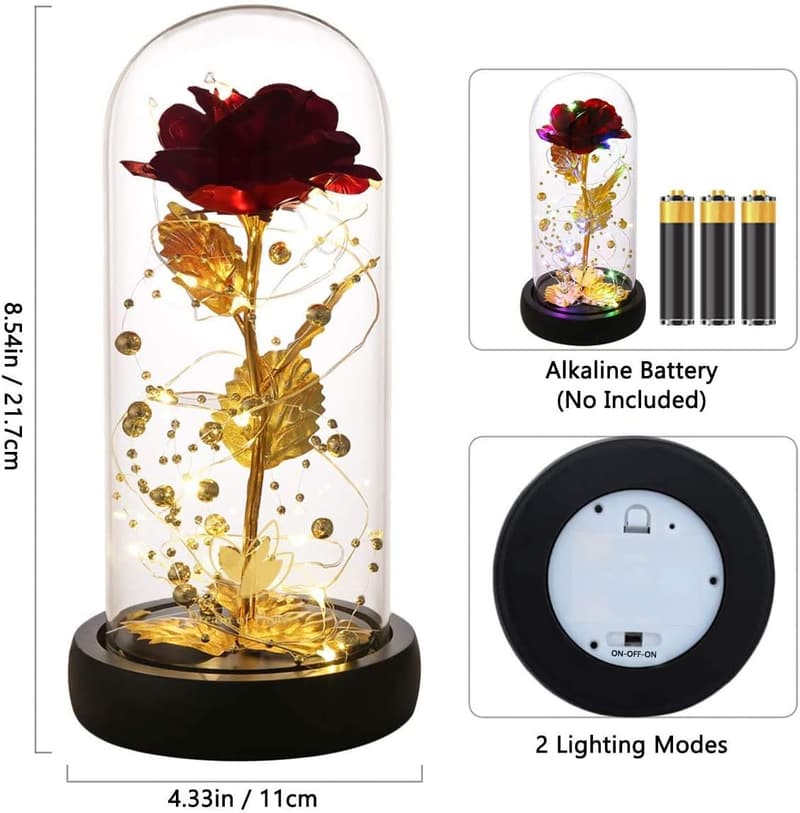 Eternal Rose in Glass Dome with LED Lights for Women
