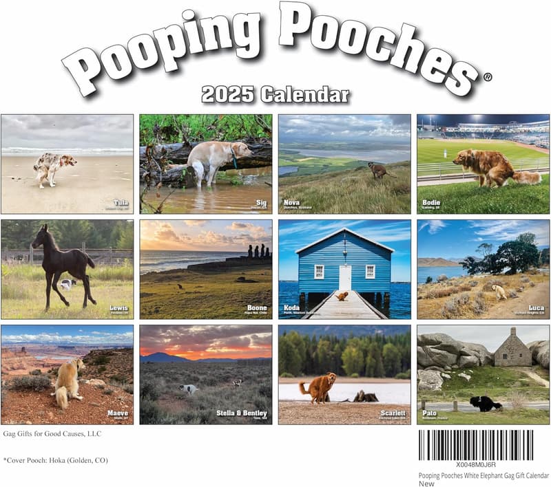 White Elephant Gag Gift - Fun Monthly Calendar