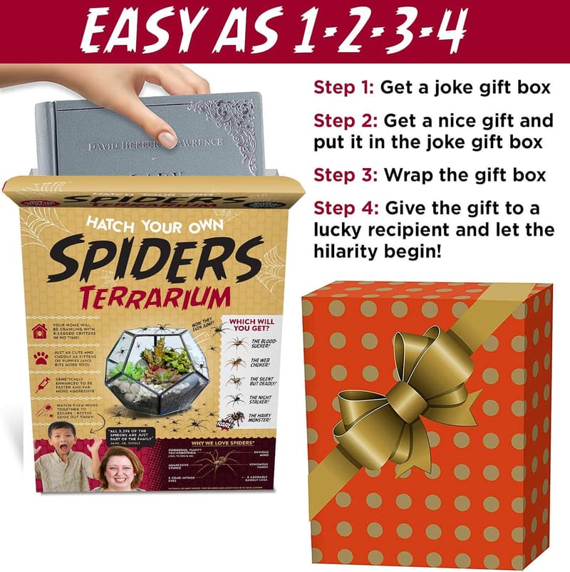Funny Spider Terrarium Prank Gift Box - Perfect for White Elephant
