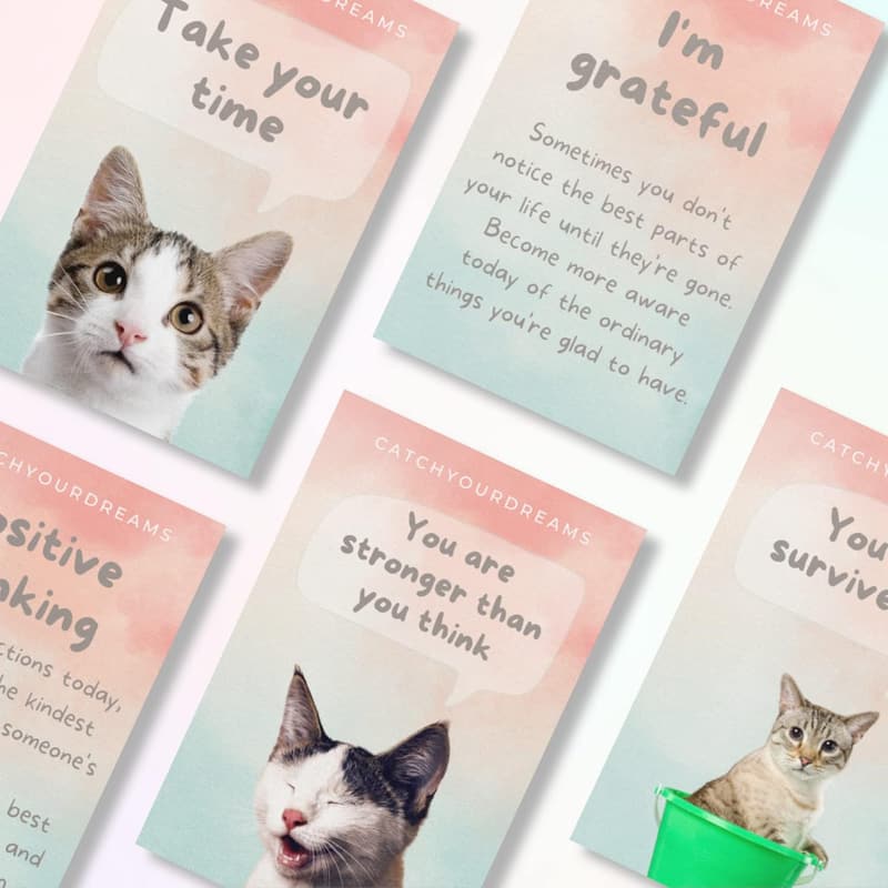 Cats Against Anxiety Affirmation Cards for Self-Esteem & Stress