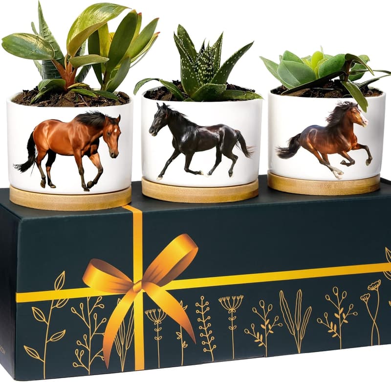 Unique Horse Planters - Perfect Gifts for Horse Lovers