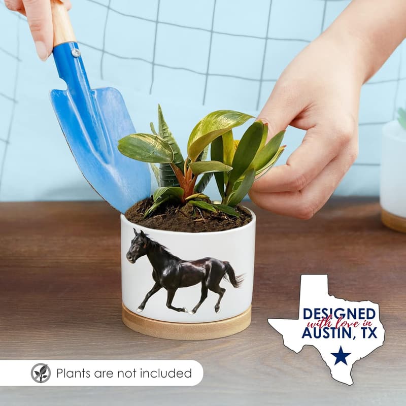 Unique Horse Planters - Perfect Gifts for Horse Lovers
