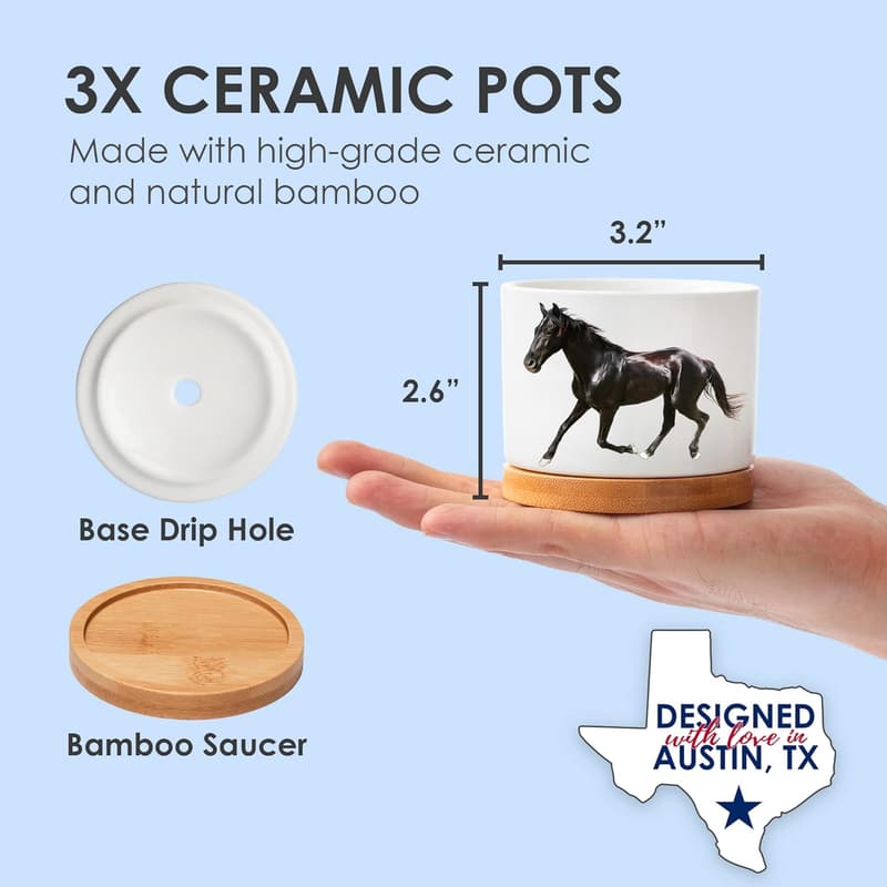 Unique Horse Planters - Perfect Gifts for Horse Lovers