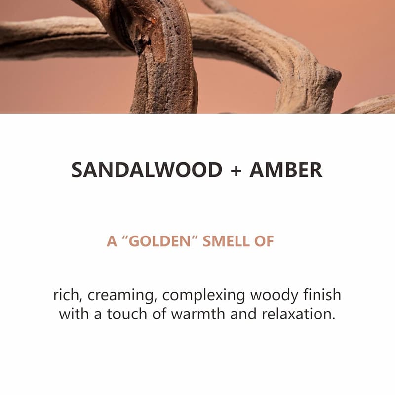 Men's Holiday Gift Set - Sandalwood & Amber Bath Essentials
