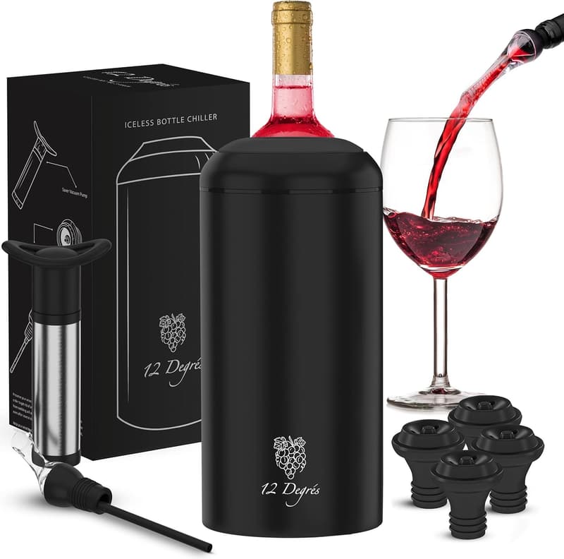Stainless Steel Wine Chiller Set with Pump and Stoppers