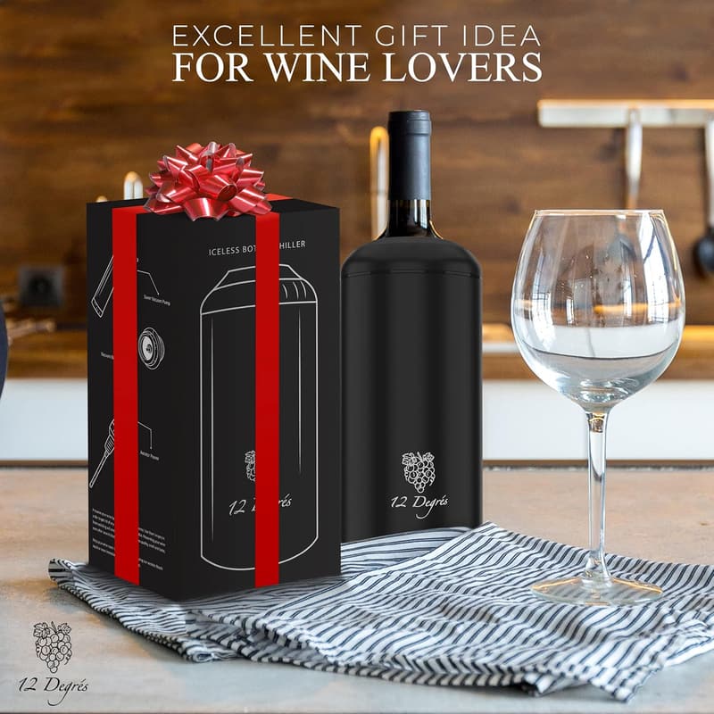 Stainless Steel Wine Chiller Set with Pump and Stoppers