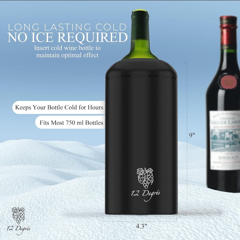 Stainless Steel Wine Chiller Set with Pump and Stoppers