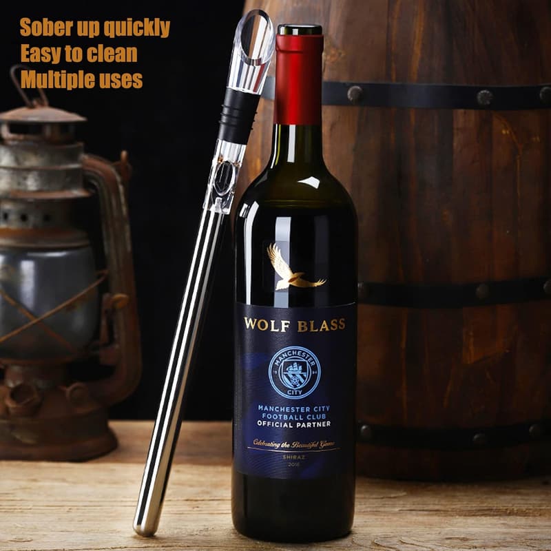 Stainless Steel Wine Chiller 3-in-1 Set for Wine Lovers
