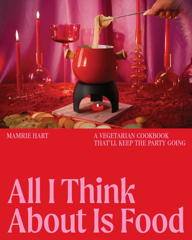 Vegetarian Cookbook: Fun Recipes for Entertaining Guests