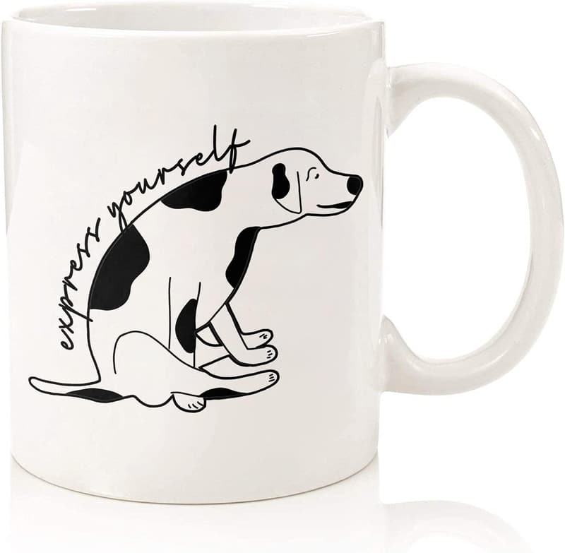 Funny Vet Appreciation Mug for Animal Doctors & Techs - 11 Oz