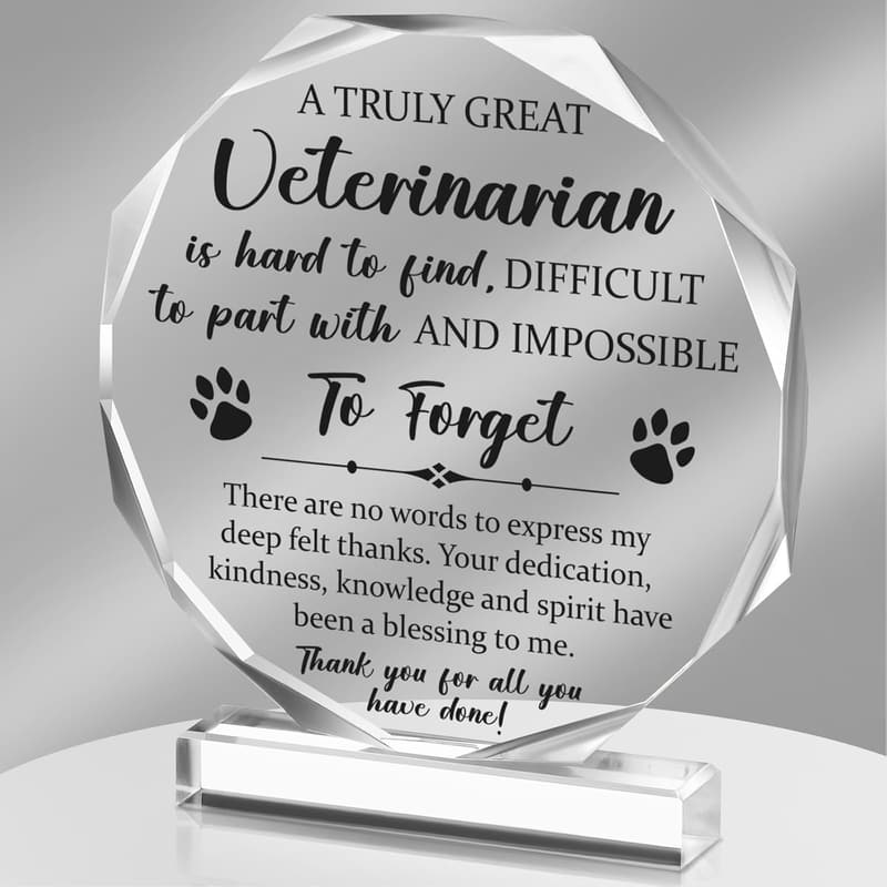 Inspirational Acrylic Appreciation Sign for Coworkers