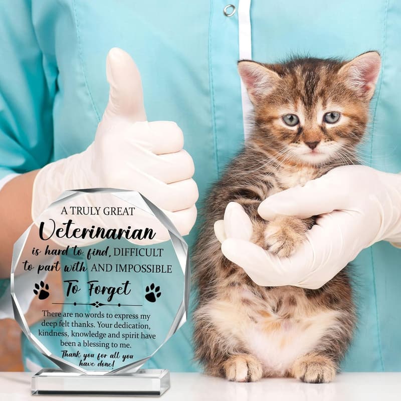 Inspirational Acrylic Appreciation Sign for Coworkers