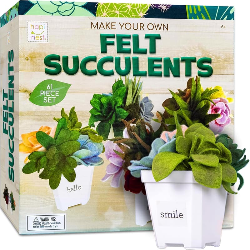 DIY Felt Succulents Craft Kit for Adults and Teens
