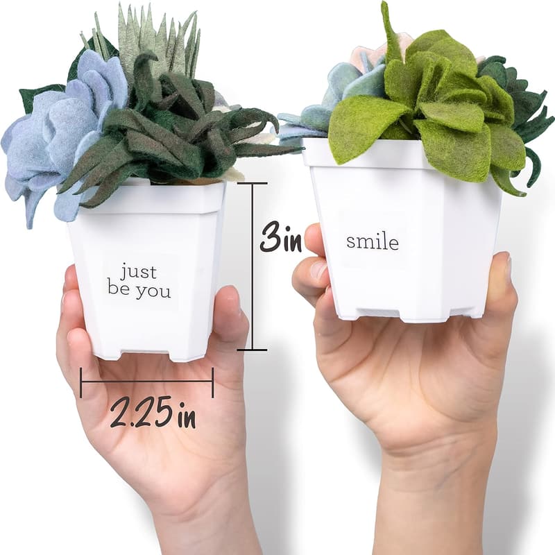 DIY Felt Succulents Craft Kit for Adults and Teens