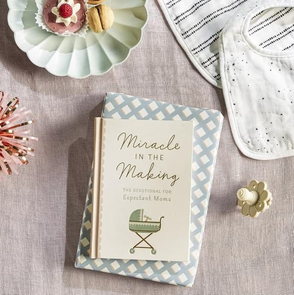 Devotional Guide for Expectant Moms: 