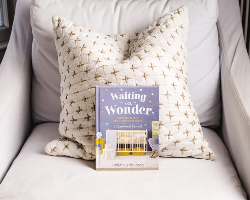 Pregnancy Memory Book & Journal for Expectant Moms