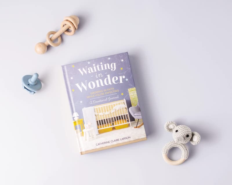 Pregnancy Memory Book & Journal for Expectant Moms