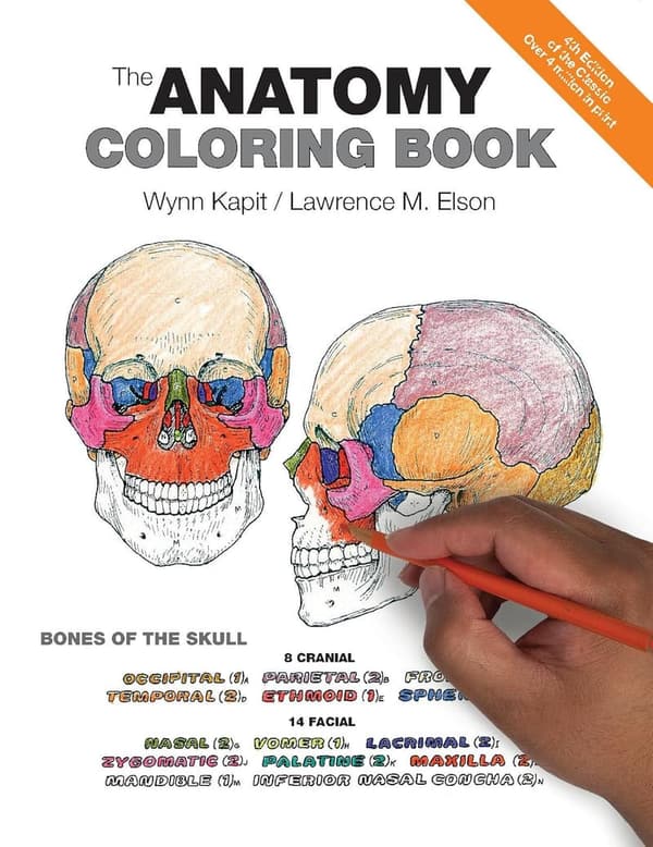 Anatomy Coloring Book for Medical Students and Professionals